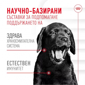 Хранителна добавка за подрастващи кученца Royal Canin Immunity and Digestion Puppy за здрава имунна и храносмилателна система